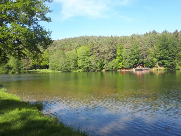 Dreiburgenseerunde (kurz)