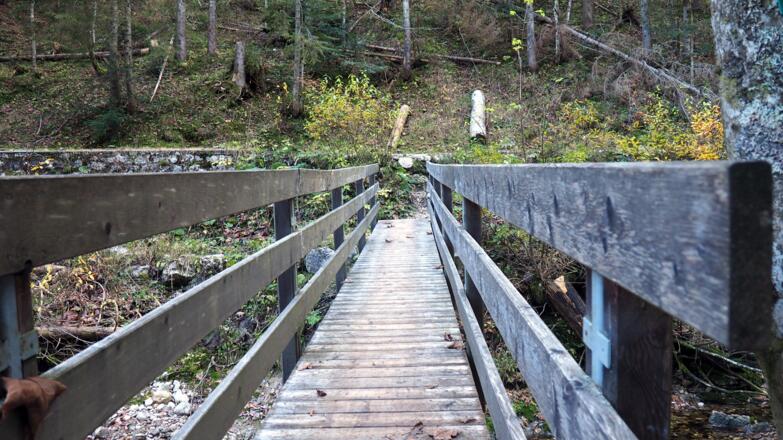 Rettenbachbrücke ~805m an der Forststraße (Raddepot).