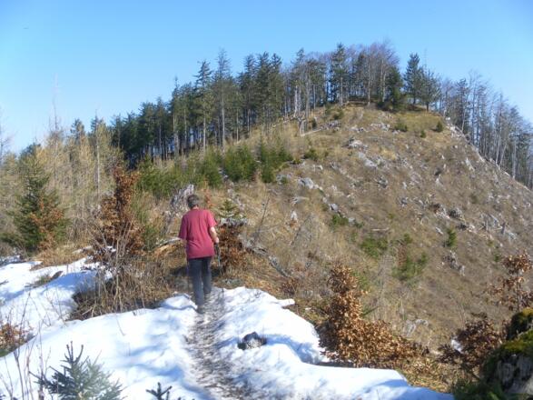 Gipfelkuppe der Gurlspitze