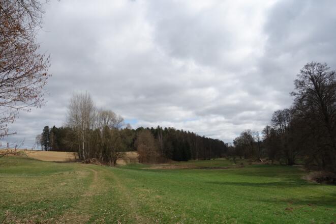 Im Tal der Floß