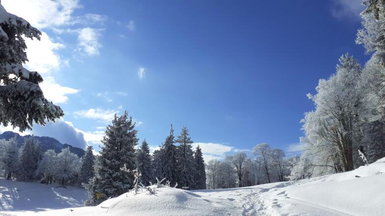 Plateau mit Tafel 1320m, rechts ab