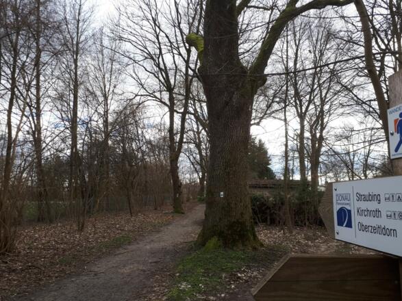 Insel Gstütt