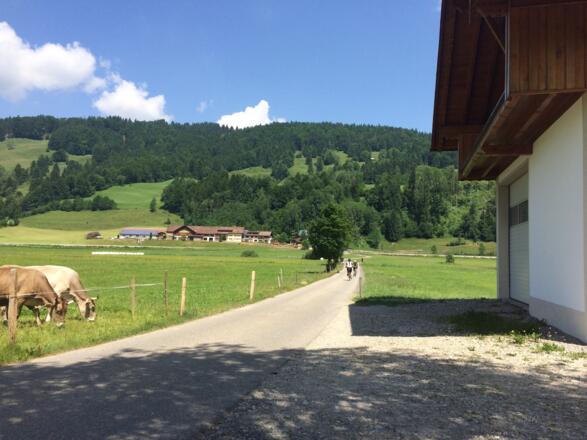 Oberstaufen Richtung Alpsee