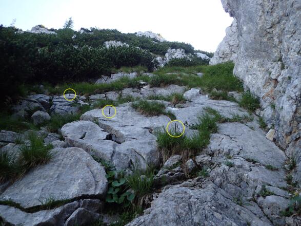 Wenige Meter unterhalb vom Mandlgrat