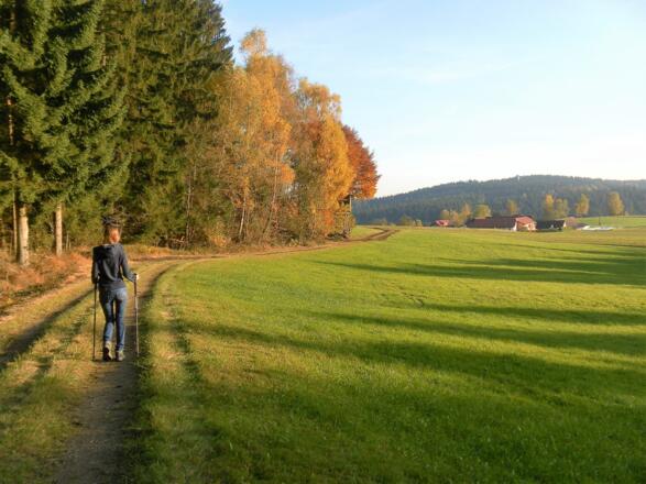 Rückweg zum Holzladeplatz