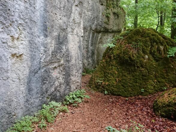 Der Pfad führt durch eine malerische Felsenlandschaft