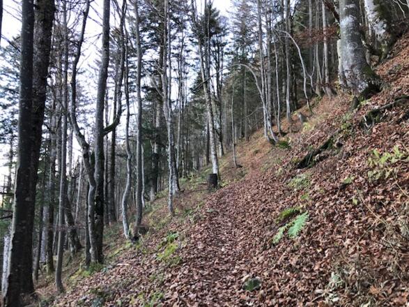Aufstieg zum Prodel