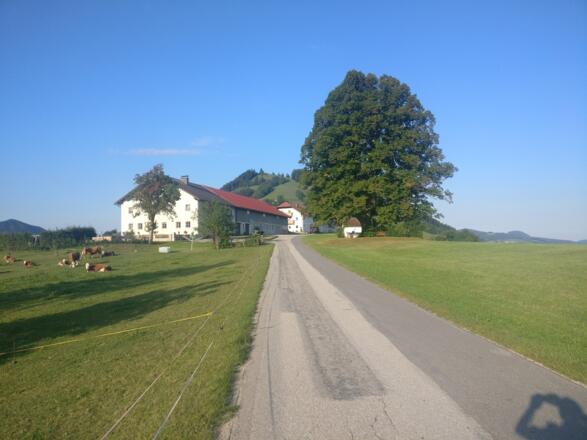 Konradsheim; Haunoldstein