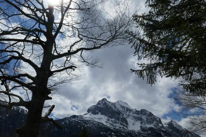 Unterwegs öffnen sich schöne Blicke auf die Obere Wettersteinspitze.