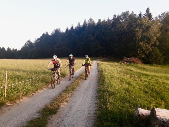 Strecke vor Münchszell