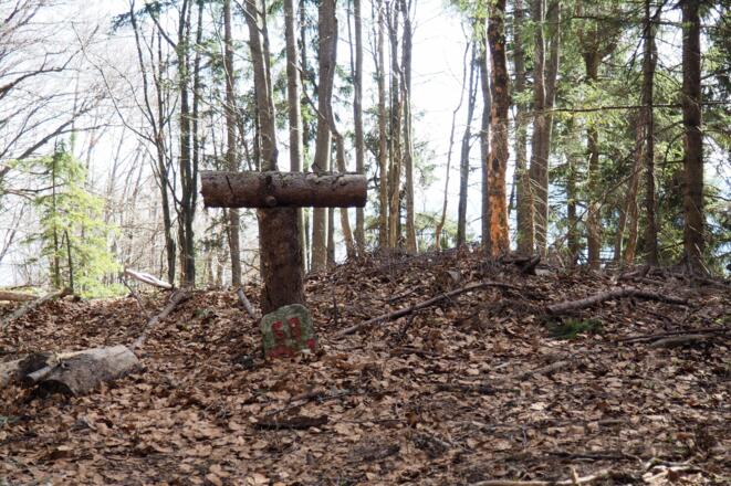 Namenloser Gipfel am Grenzkamm, 1131m