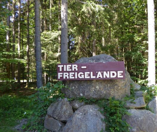 Tierfreigelände