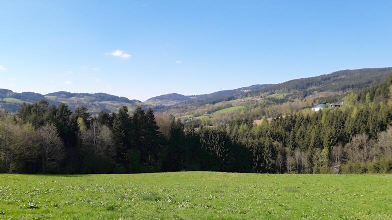 Blick vor Hagnberg Richtung Elisabethszell