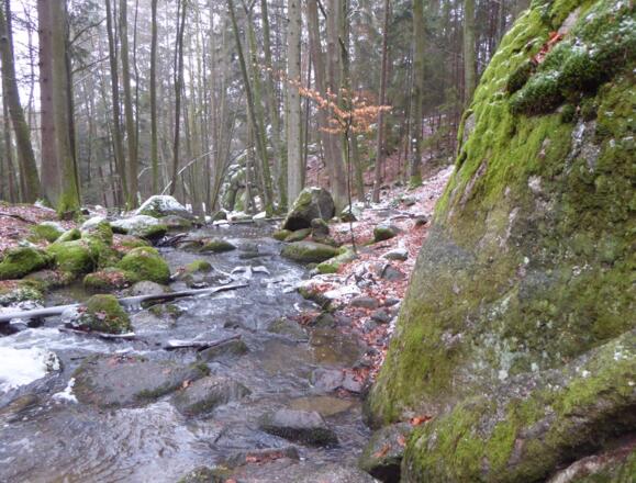 Höllbachtal - Naturschutzgebiet