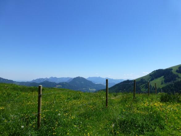 Nach einem steilen Stück am Anfang weitet sich der Blick auf die umliegenden Berge