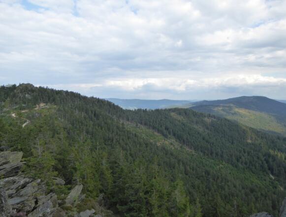 Blick auf den Grenzsteig