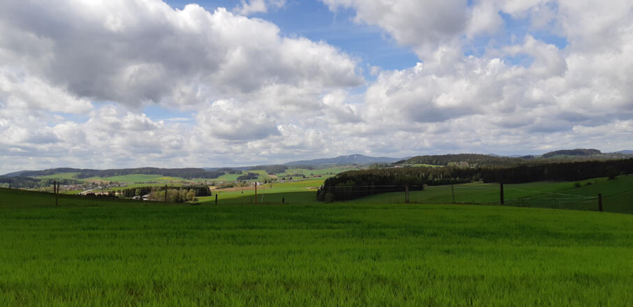 Blick zum Sternstein