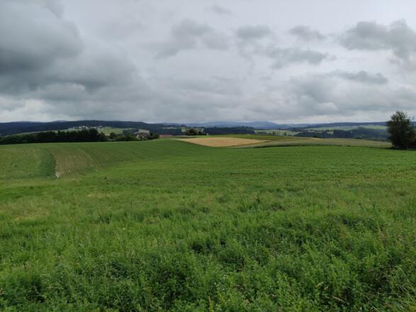 Blick nach Norden von Schönbach