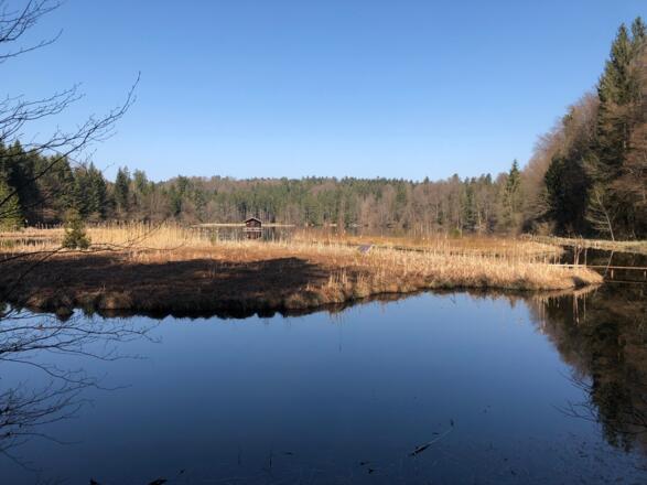 Blick auf den idyllischen Hackensee