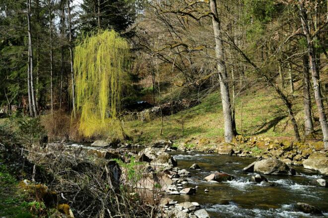 Eindrücke entlang der Feldaist