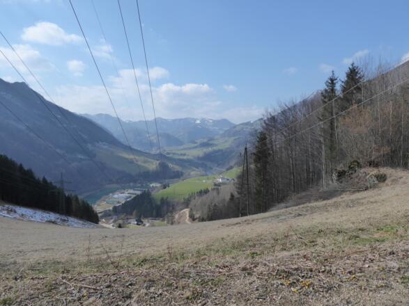 Weitblicke ins Ennstal am Sattel zum Schiefersteinstock