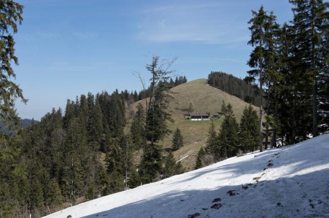 Steingrabner Alm und Eibelkopf