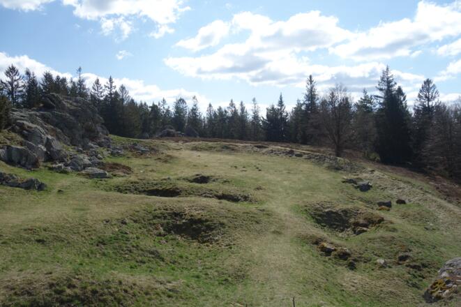 Wildenstein