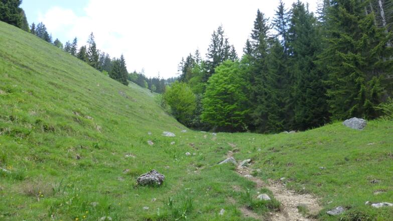Auf dem Weg von der Hinteren Gießenbachklamm zum Brünnsteinhaus