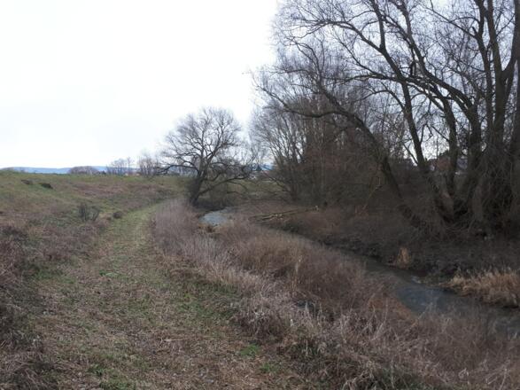 Auf dem Weg zur Donau