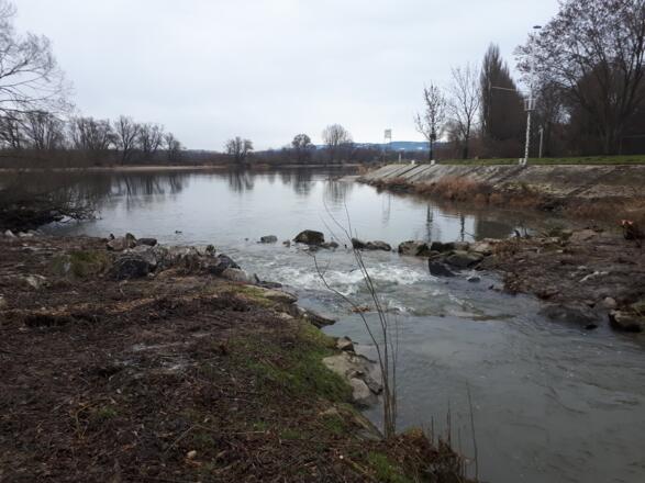 Aitrachmündung in die Donau