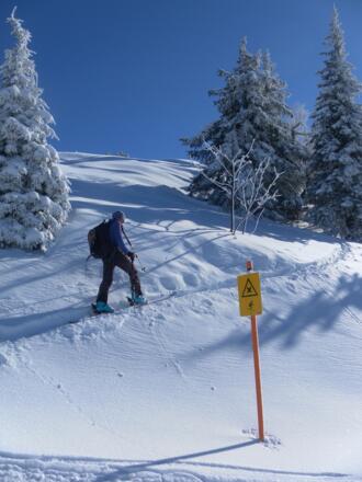 Almwiesen vor der Bergstation