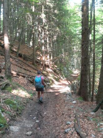 Abstieg nach Hammerbach