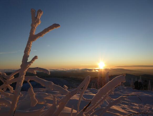 Sonnenaufgang am Lusen
