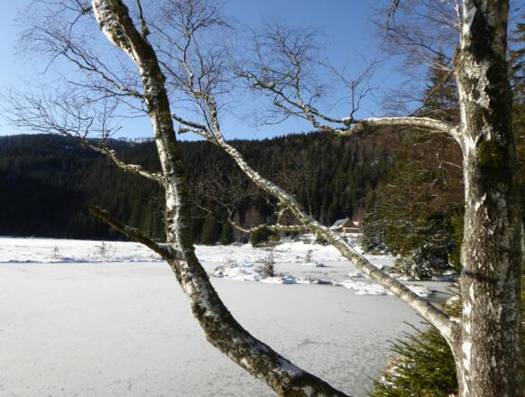 Kleiner Arbersee