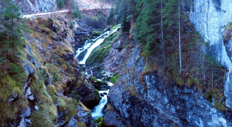 Brücke-Waldbachstrub 795m