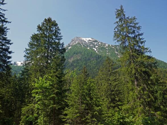 Blick zur Schärtenspitze