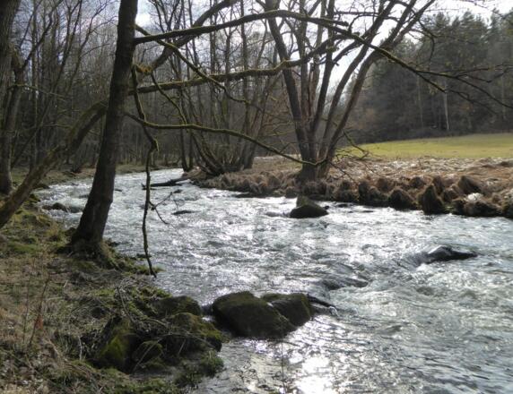 Die wilde Teisnach