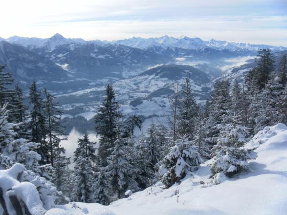 Blick über das Salzachtal in die Glocknergruppe