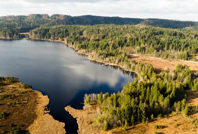 Luftaufnahme des Kirchsees