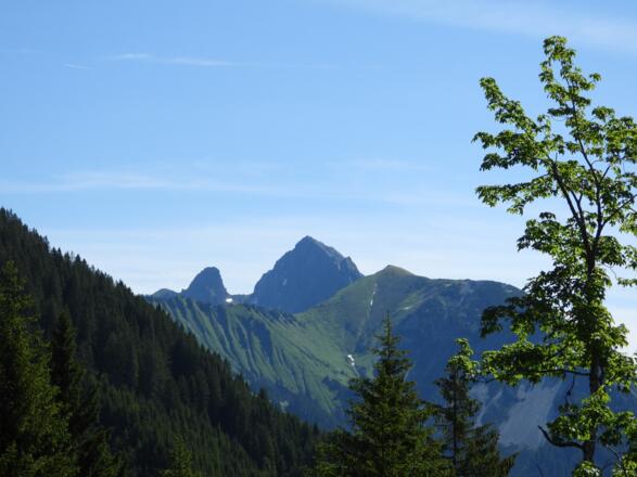 Immer ein Foto wert: der Zitterklapfen