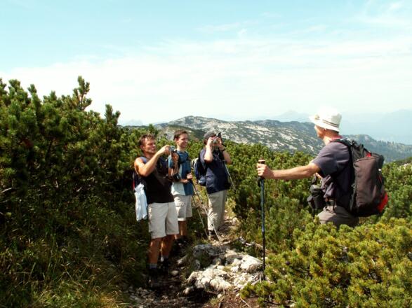 Zurück am Weg über Latschen vom Gamsalmkopf 1886m