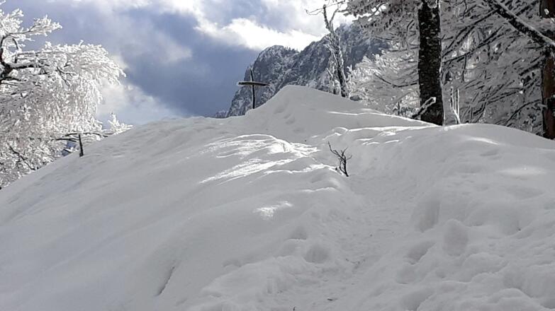 Rauer Kalbling 1381m