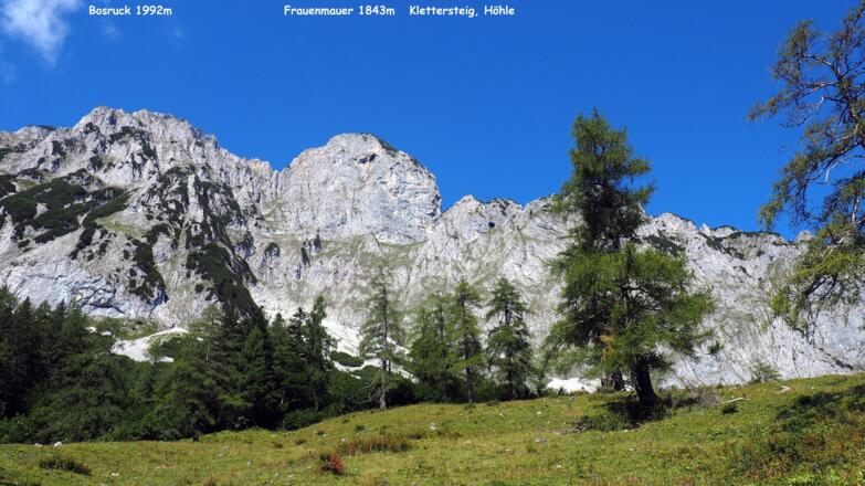 Rückblick von der Forststraße ~1180m zum NO Grat