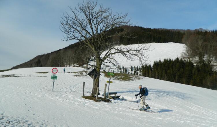 Wiesen hinunter zum Durchlaufner