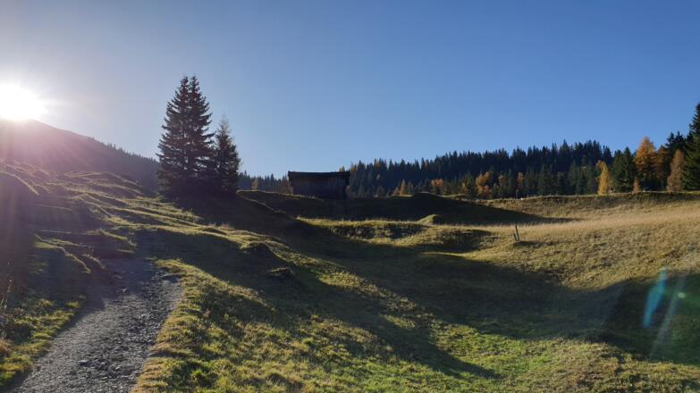 Einfacher Wanderweg im ersten Abschnitt