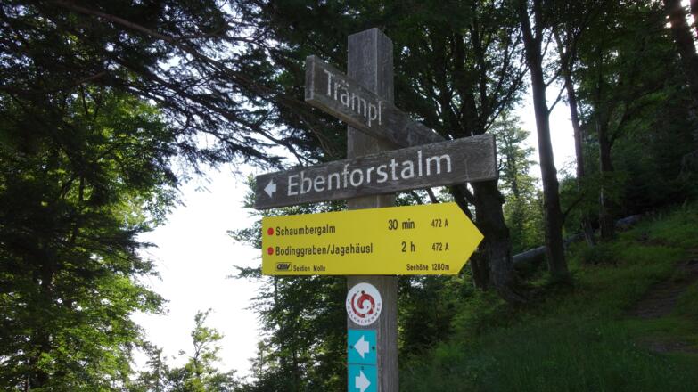 Wegtafel ~1295m, rechts ab