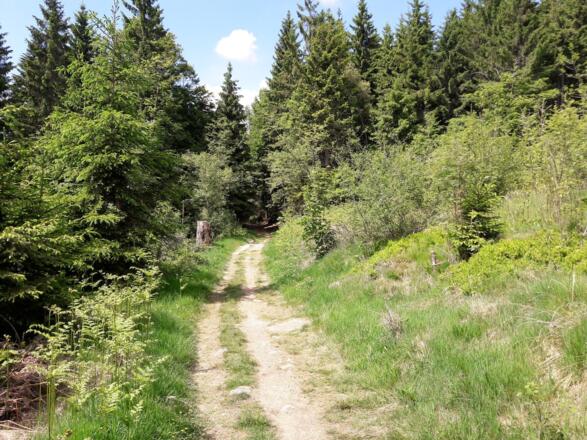 Wanderweg nach St. Englmar