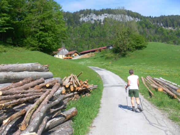 Mühlstein Südostflanke von Loitenstatt/Gimpl