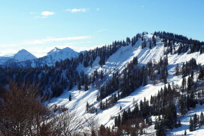 Grobriedel 1473m