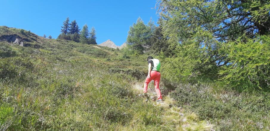 ... es wird weniger steil (Im Hintergrund der Innere Hahlkogel). In einem weiten Rechtsbogen ...